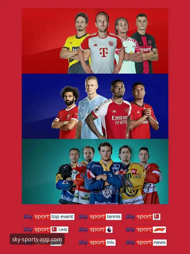 天空体育平台观看体育直播技术深度评测：从安装到体验全解析