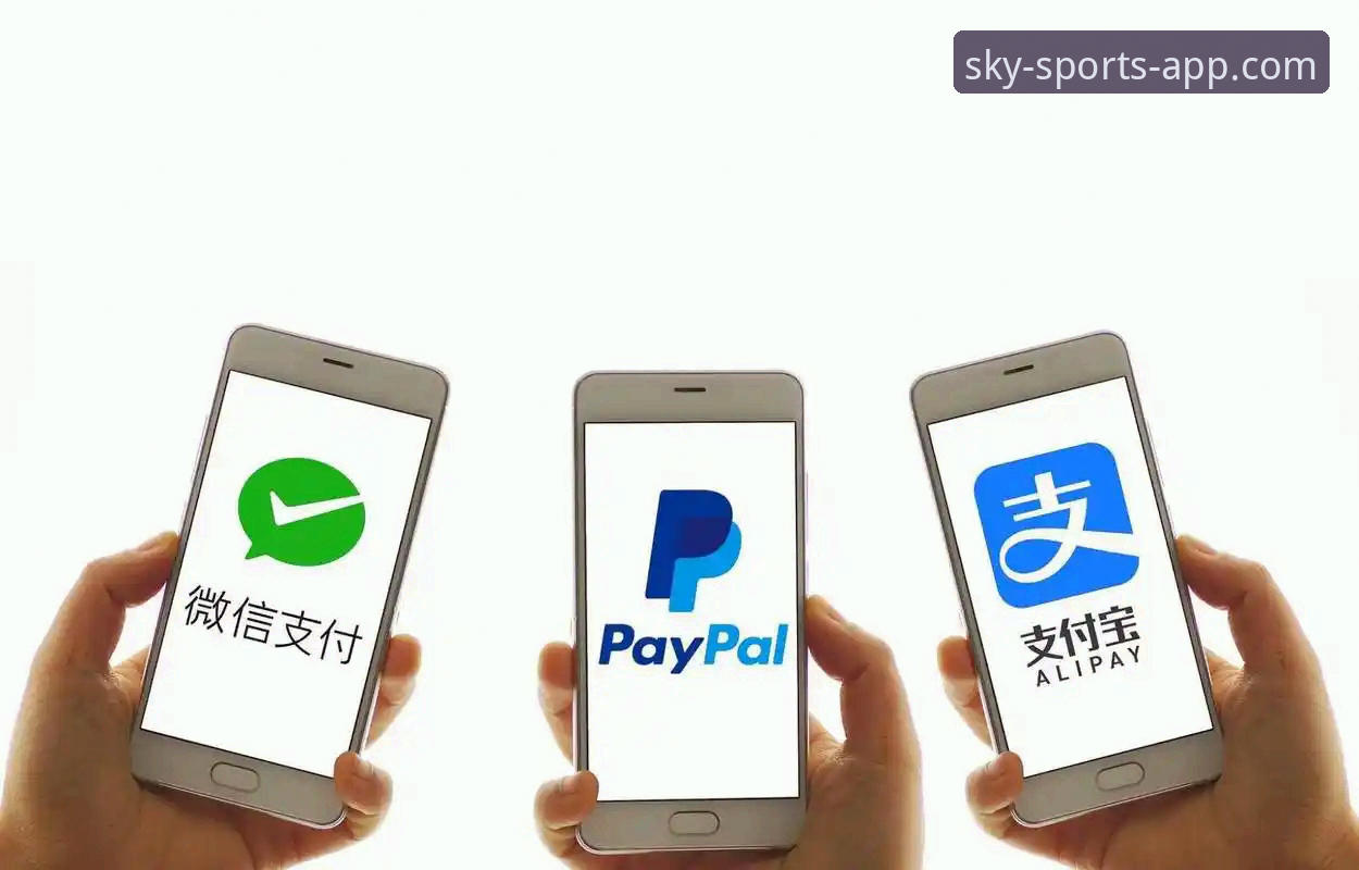 官方渠道 vs 第三方下载：如何确保获取真正的“天空体育流畅直播手机版”？